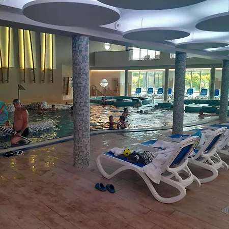 Alma 713 ザラカロシュ